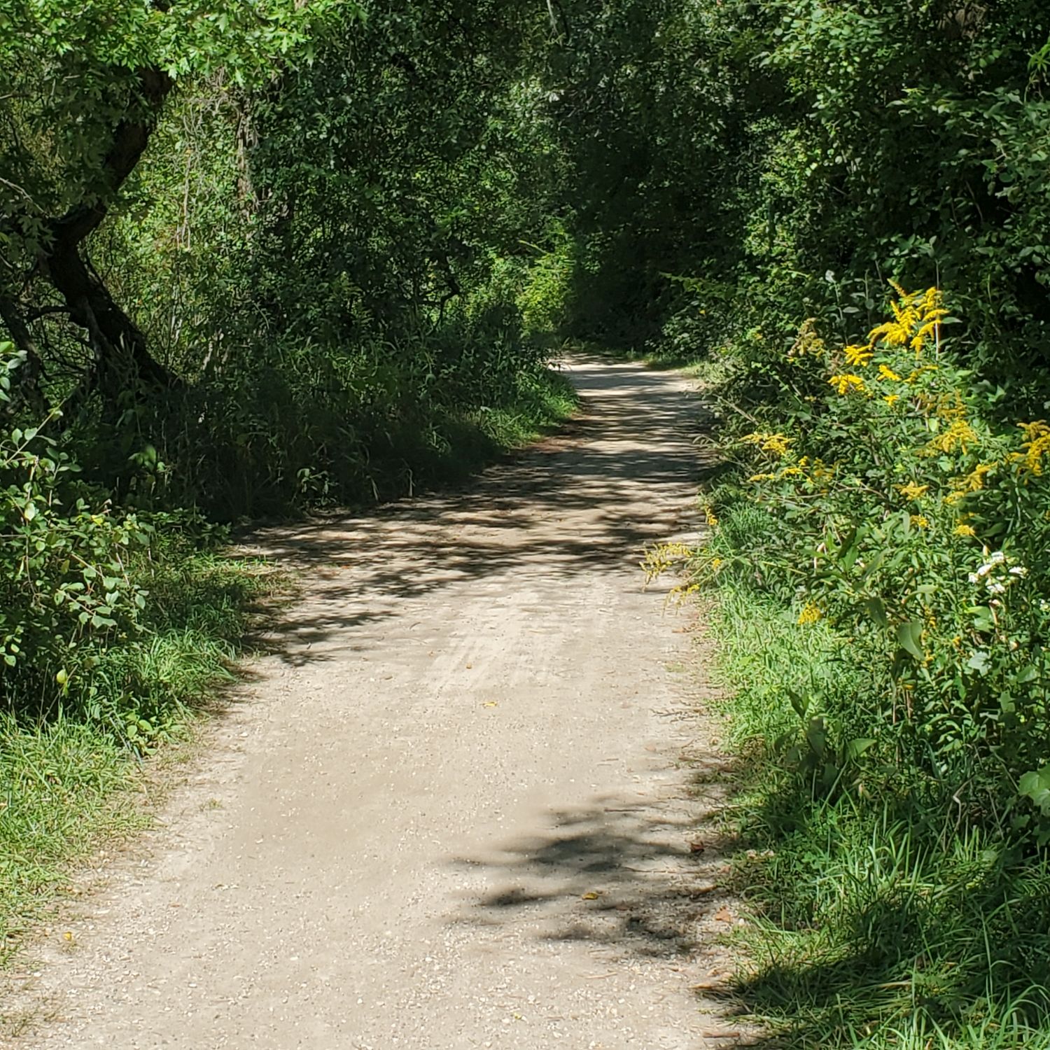 Orange Palos Trail 